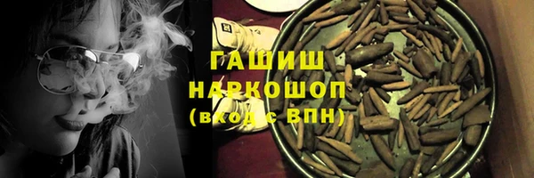 мдпв Краснослободск