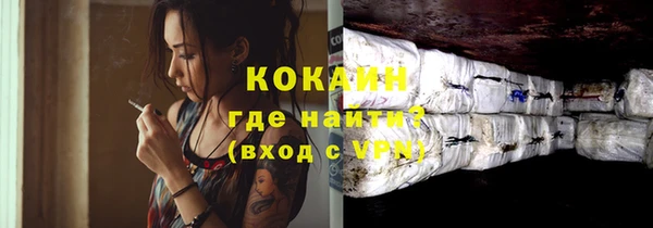 мдпв Краснослободск