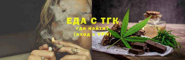 мдпв Краснослободск