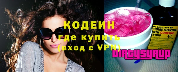 мдпв Краснослободск
