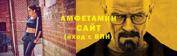 мдпв Краснослободск