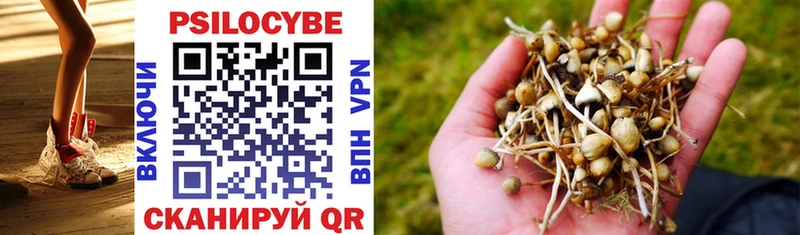 магазин    Старый Крым  Галлюциногенные грибы Psilocybine cubensis 